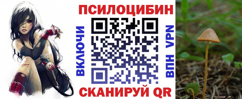 Галлюциногенные грибы прущие грибы сколько стоит Петропавловск-Камчатский